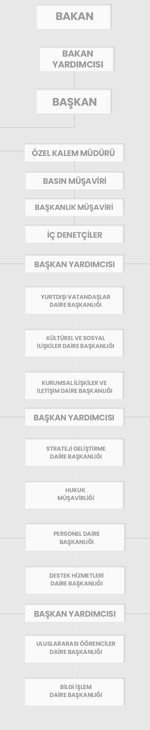 Teşkilat Şeması